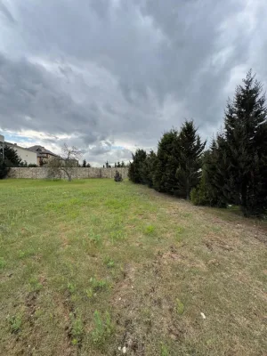 Torpaq, Buzovna