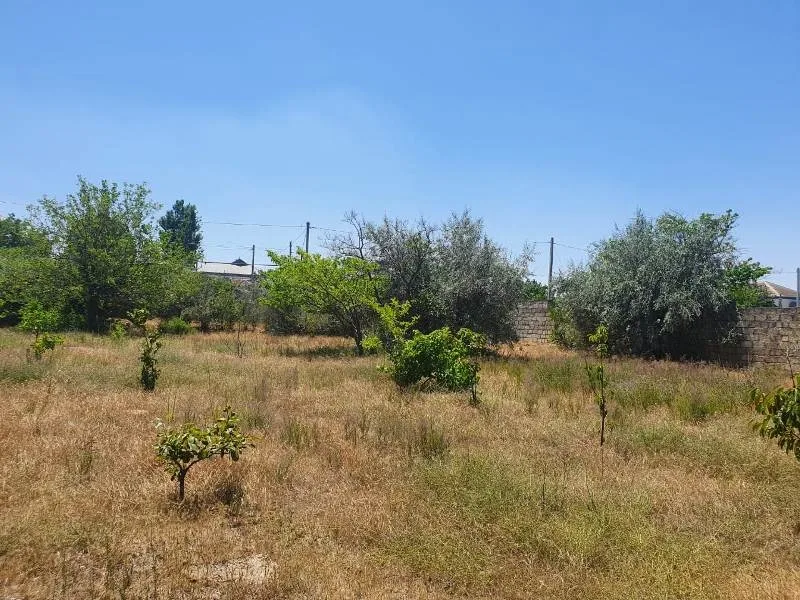 Torpaq, 11 sot, Buzovna — 5